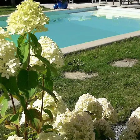 Bed & Breakfast La Vie En Rose Gouvy
